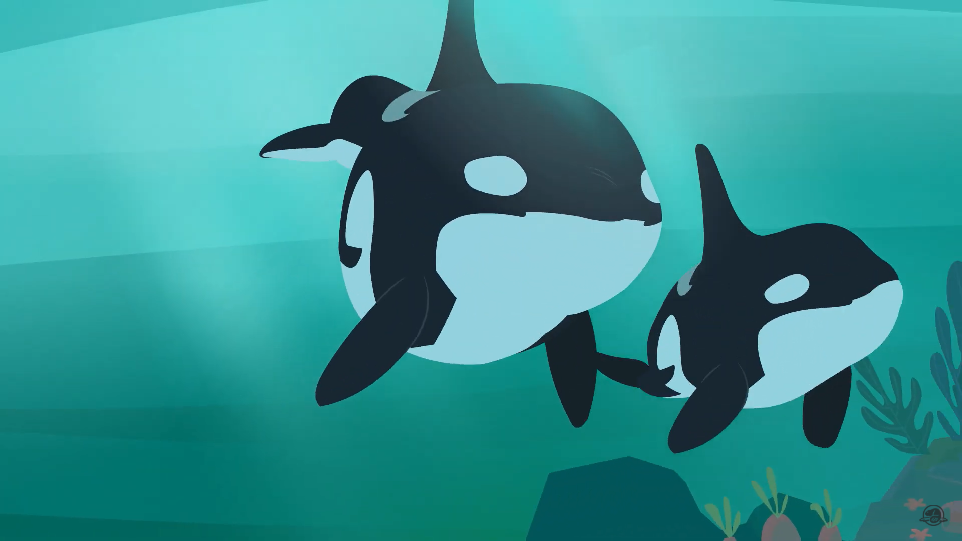 Update: Southern Resident Orca Sanctuary Zones