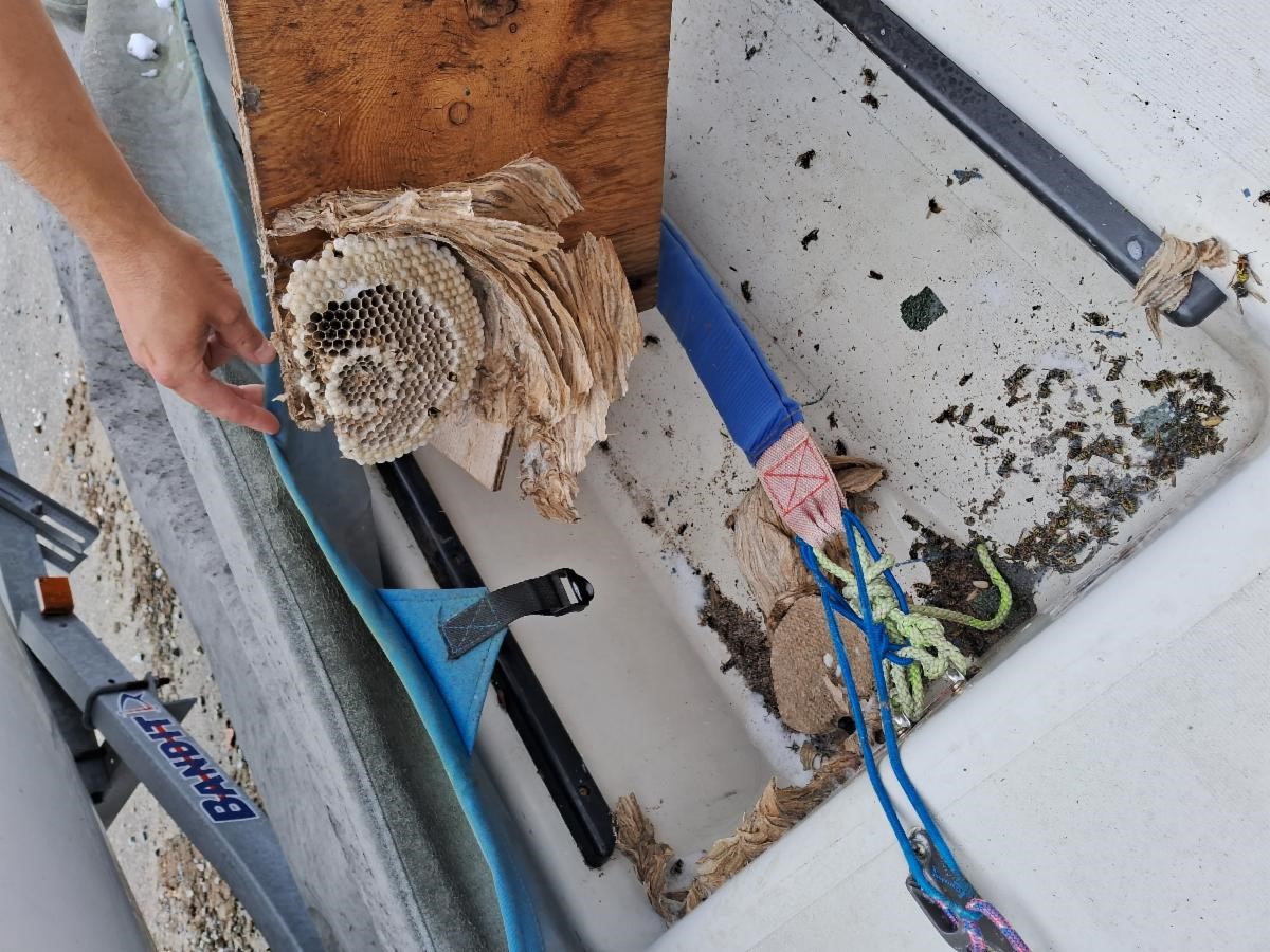 In the wind: July 17, 2024 | Jericho Sailing Centre